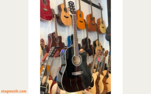 Đàn Guitar Acoustic Yamaha F450