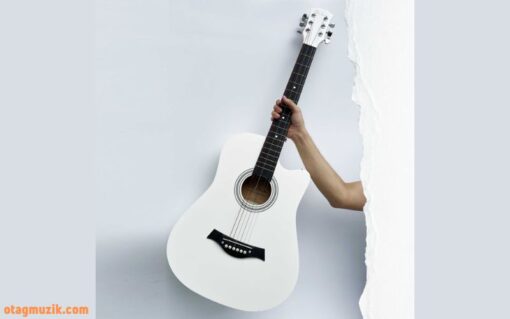 Đàn Guitar Acoustic Dáng Khuyết Woim