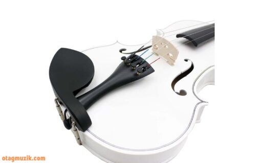 Đàn violin Irin V10 được thiết kế với sự chú trọng đến từng chi tiết, từ hình dạng của thân đàn đến các chi tiết trang trí