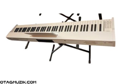 Đàn Piano Điện VicTor 88 Phím Âm Thanh Chân Thực