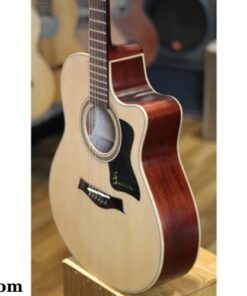 Đàn Guitar Acoustic Ba Đờn T-220 (1)