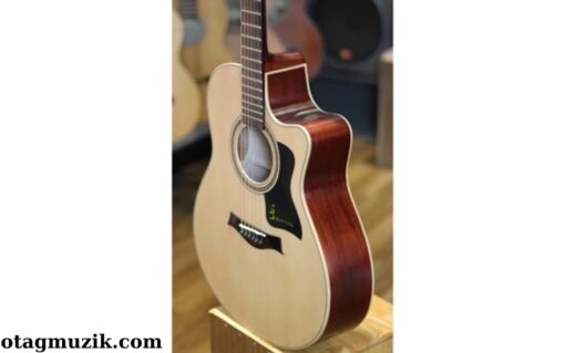 Đàn Guitar Acoustic Ba Đờn T-220 (1)