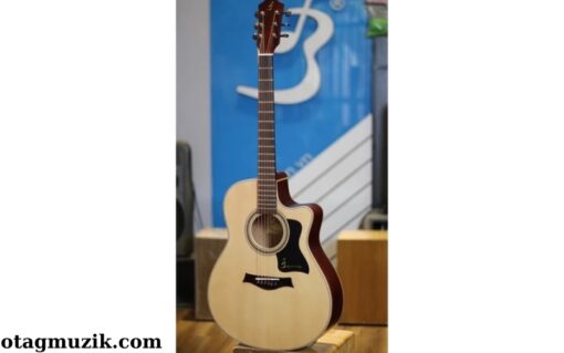 Đàn Guitar Acoustic Ba Đờn T-220 (2)