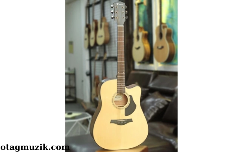 Đàn Guitar Acoustic TYGY Music Rosen Vàng G15 (1)