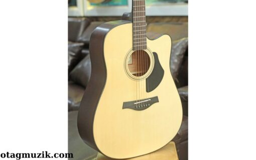 Đàn Guitar Acoustic TYGY Music Rosen Vàng G15 (2)